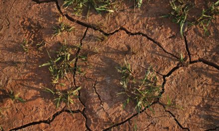 La pluie provoquée chimiquement au Niger pour réduire la sécheresse